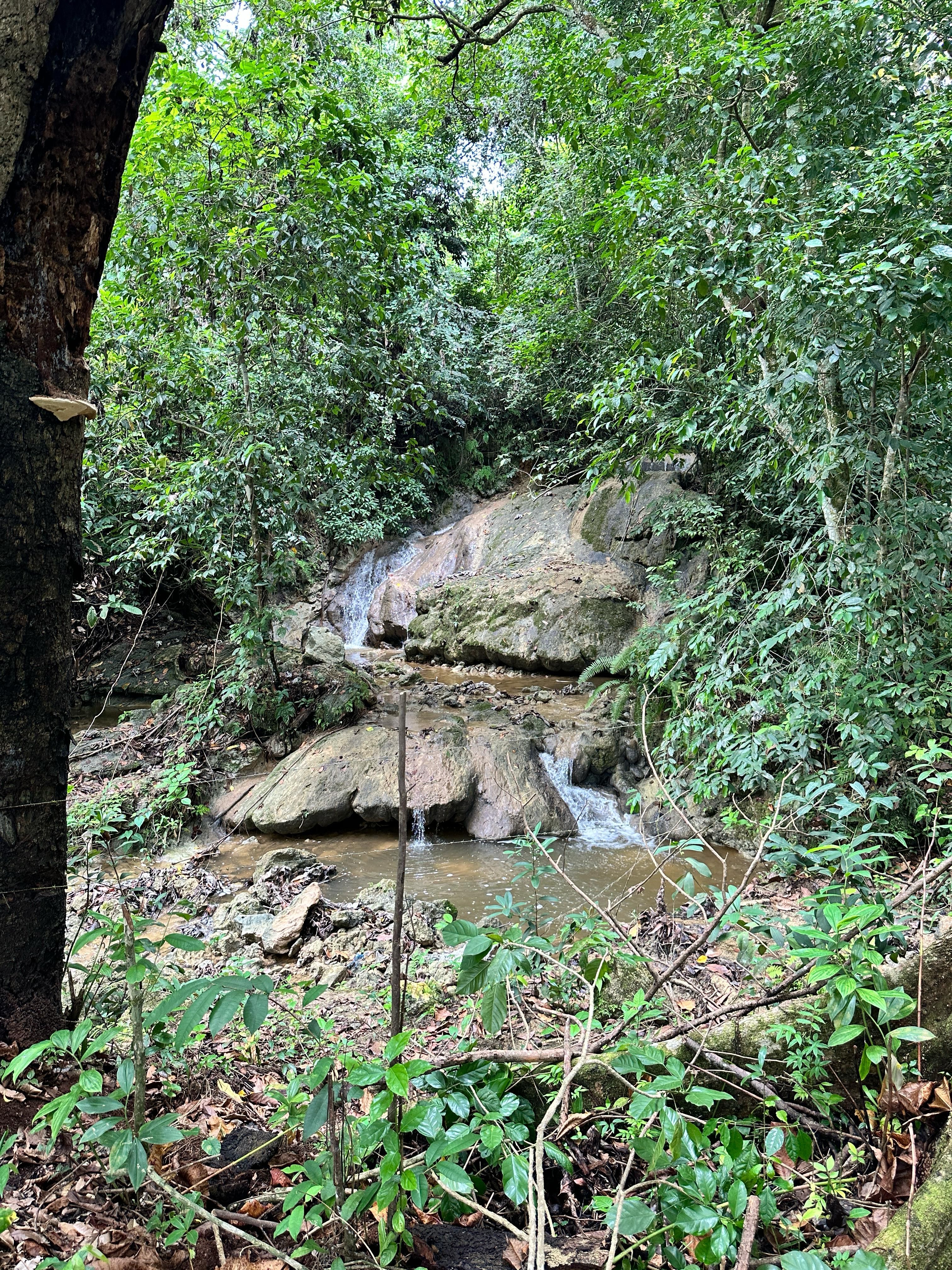 Tramo alto del río dentro de la propiedad, con saltos de agua sobre roca.